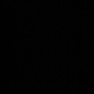 Meet your Posher, Ant